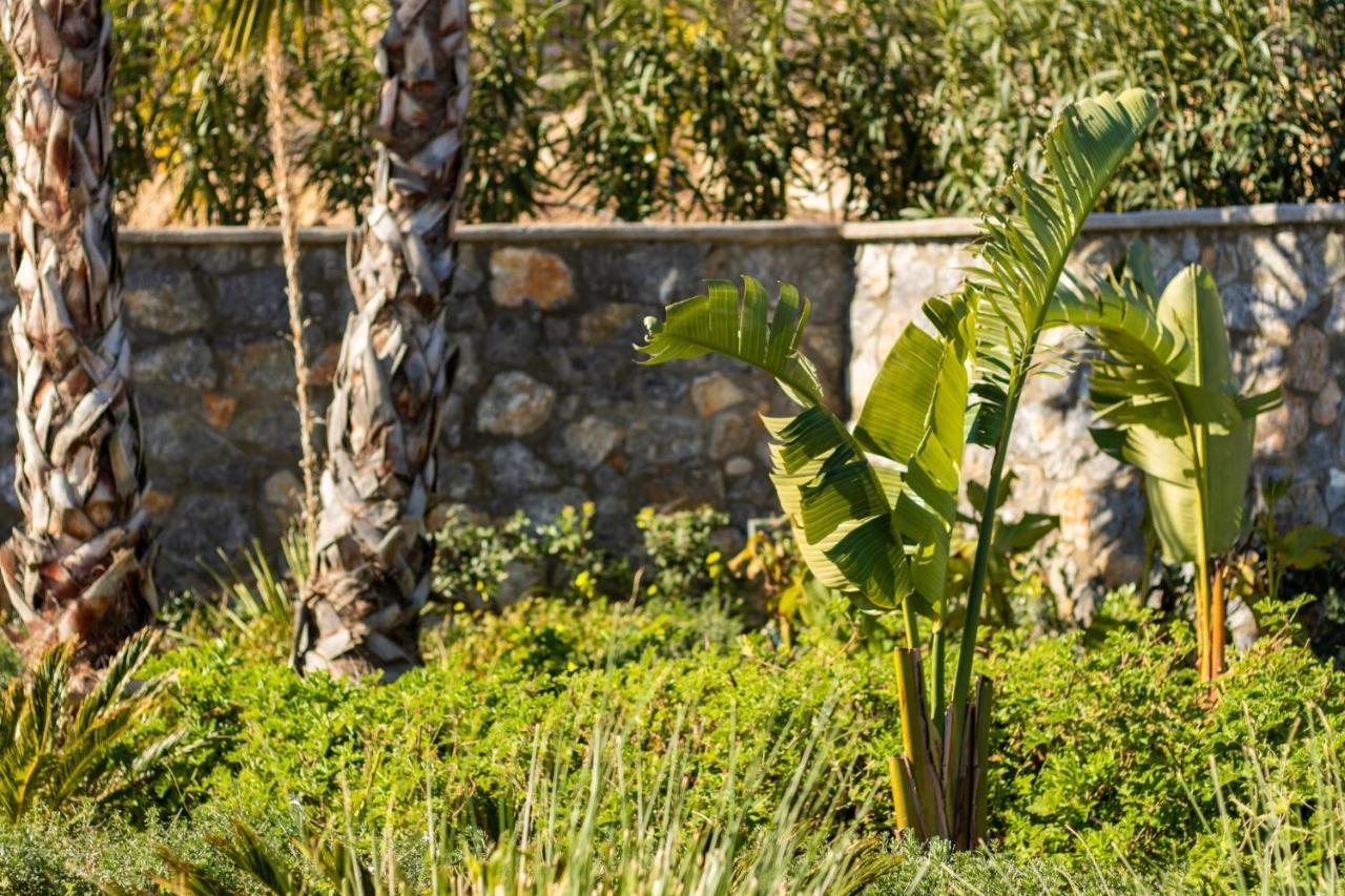קרפאטוס Istia Luxury Villas מראה חיצוני תמונה